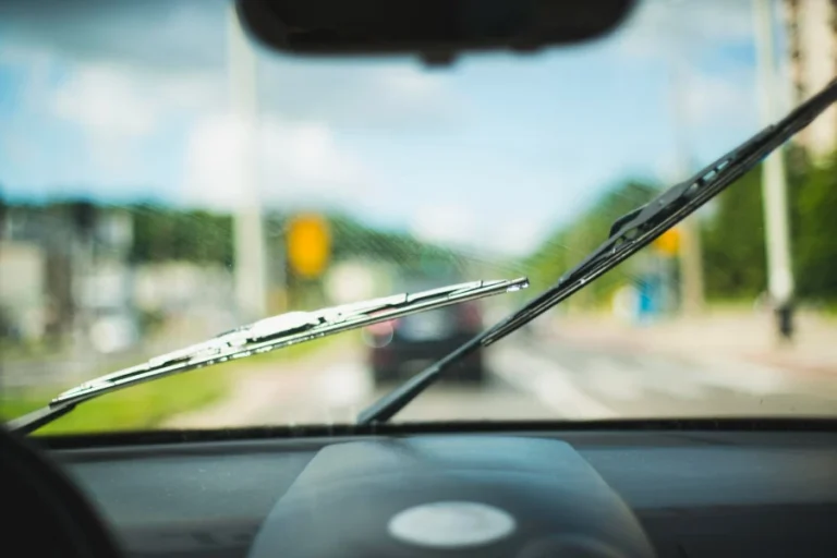 Vehicle Windshield